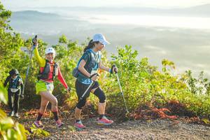 BIB: 
                            <button type="button" onclick="openModal(21877730)" class="btn btn-primary btn-sm float-right btn-popup" data-toggle="modal" data-target=".modal-high-quality">
                        <i class="fas fa-shopping-cart"></i> Add to Cart
                    </button>
                                            <button type="button" onclick="isThisMe(21877730, true)" class="btn btn-success btn-sm float-right btn-popup btn-isme hidden" data-toggle="tooltip" data-placement="bottom" title="นี่คือรูปของคุณใช่ไหม คลิกที่นี่เพื่อเอาเข้าอัลบั้ม">
                        <i class="fas fa-plus"></i> Add to album
                    </button>
                    <button type="button" onclick="isThisMe(21877730, false)" class="btn btn-warning btn-sm float-right btn-popup btn-isnotme hidden">
                        <i class="fas fa-ban"></i> Remove from album
                    </button>